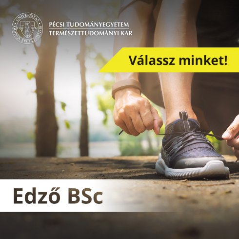 Edző BSc